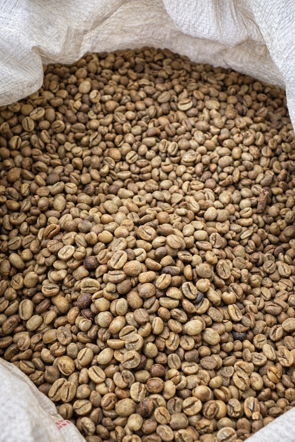 Image Mar 15, 2026, 03_30_29 PM