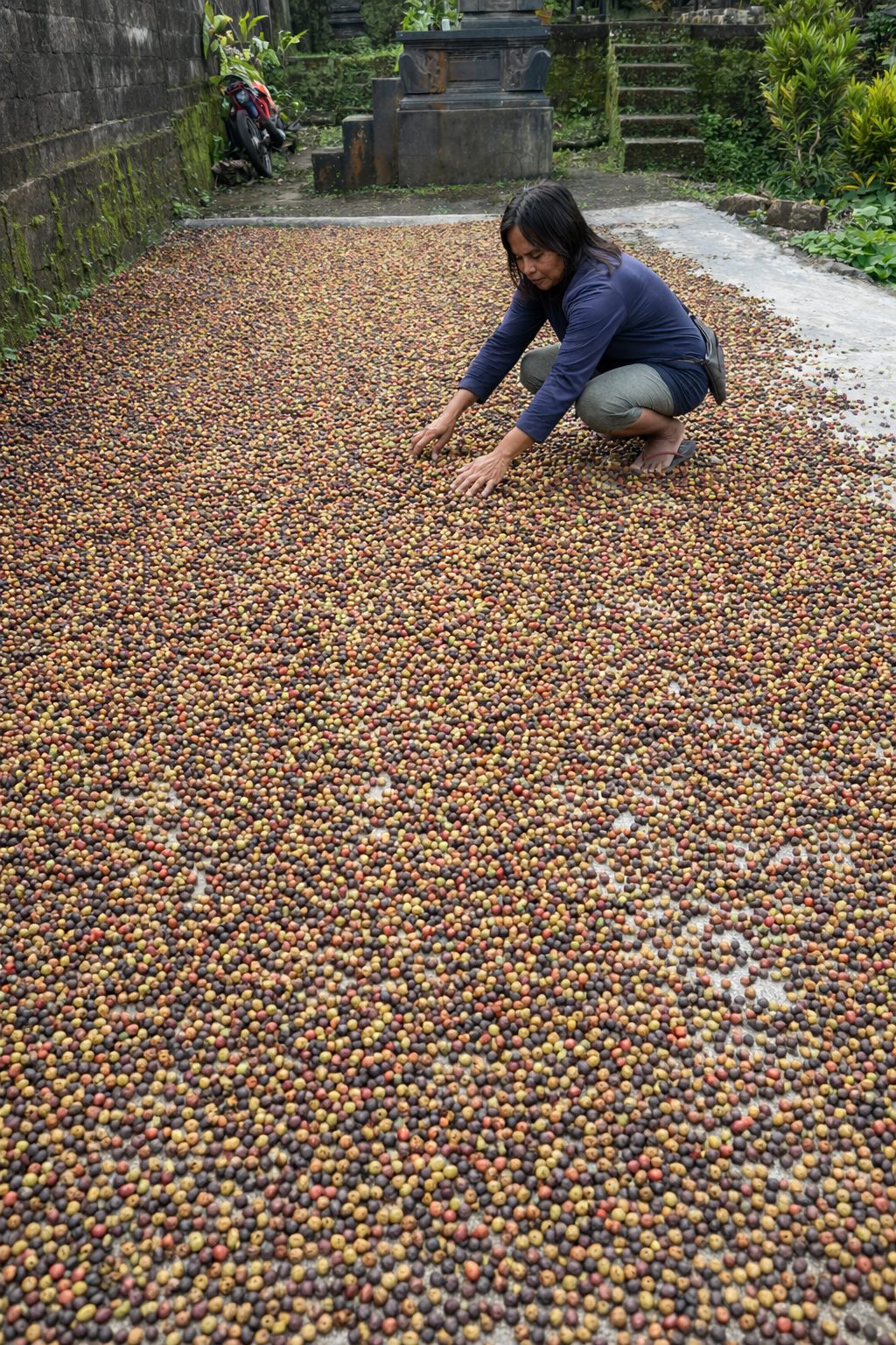 Image Mar 15, 2026, 03_42_27 PM